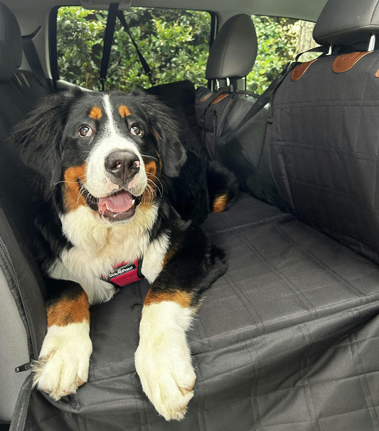 Waterproof Dog Car Seat Cover – Scratch-Resistant Protector