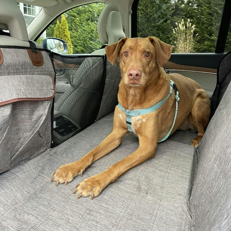 Waterproof Dog Car Seat Cover – Scratch-Resistant Protector