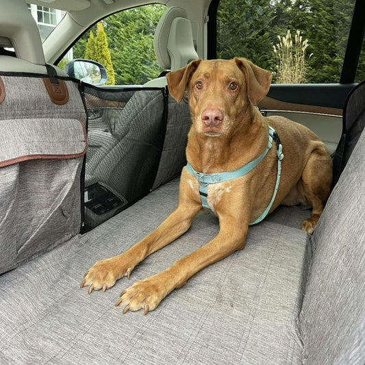 Waterproof Dog Car Seat Cover – Scratch-Resistant Protector