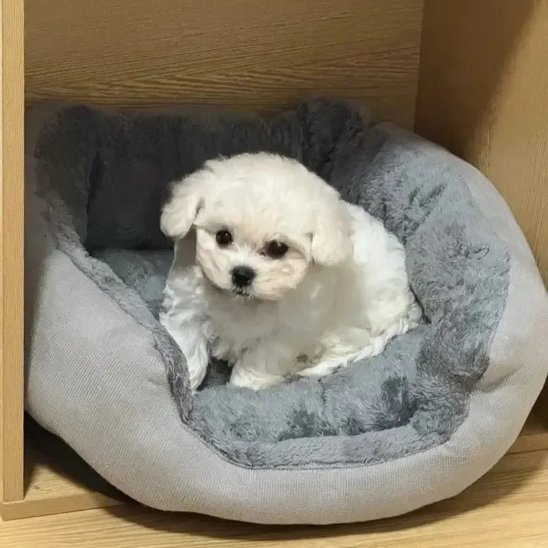 Fluffy  Bed for Dogs & Cats